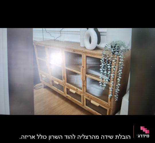 ארון עץ עם דלתות זכוכית וצמח תלוי